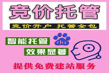 SEM代理实战：成功案例分享与经验总结